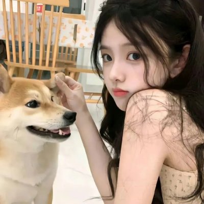 口碑推荐