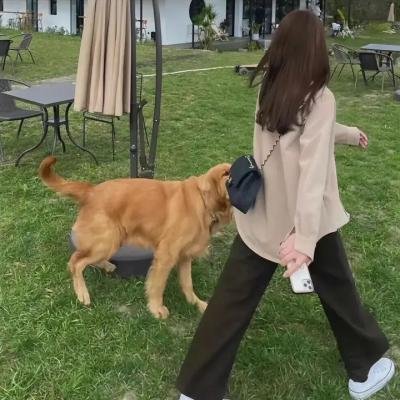 无眠觉醒